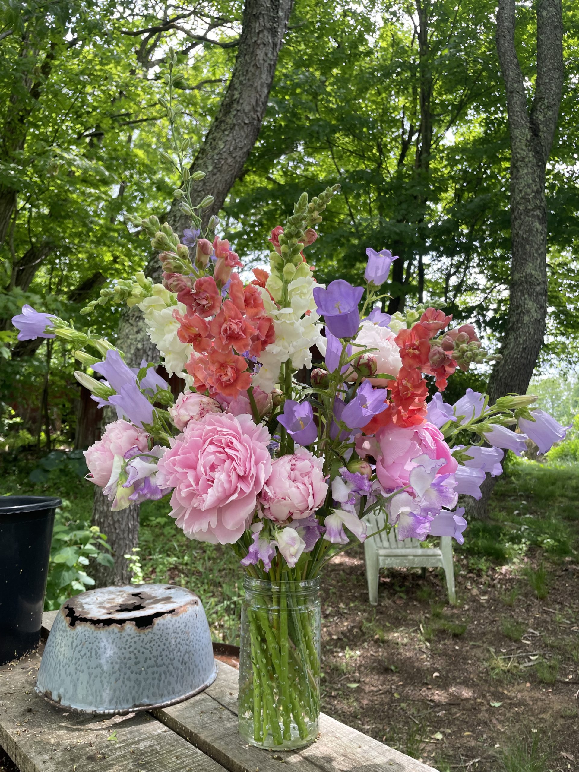 25 Types of Pink Flowers